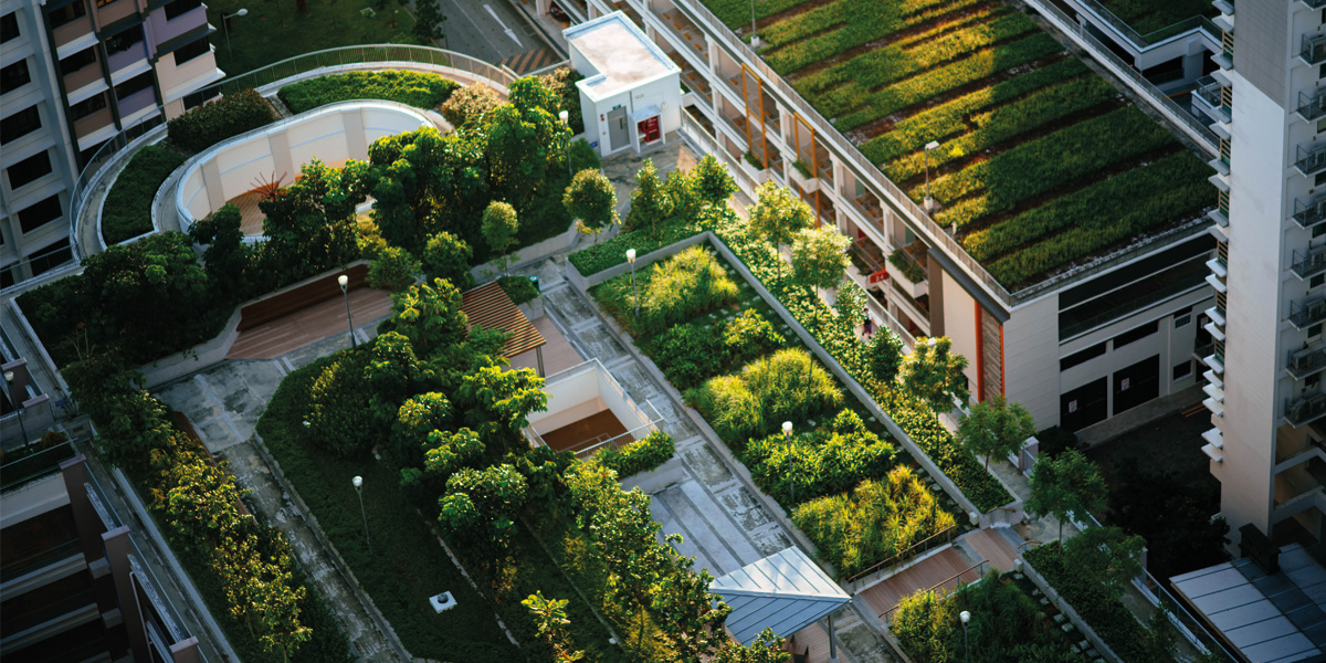 Bird's eye view of green roof city scape