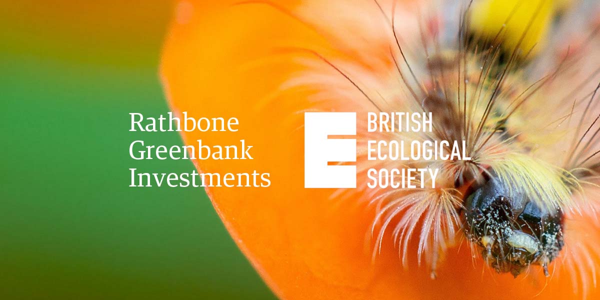 How financial institutions can measure biodiversity
